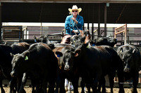 CRCC 500 Rider Coleman Ranch 08/26/2023