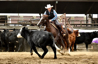 CRCC Coleman Ranch FB Ranch Horse Open 09/23/2023