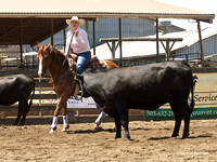 CRCC Coleman Ranch 500 Novice Rider 07/08/2023