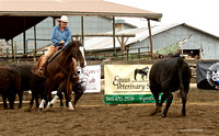 CRCC Coleman Ranch FB 25000 Novice Horse 07/08/2023
