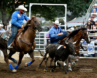 Wednesday, Steer Wrestling 08/14/2024