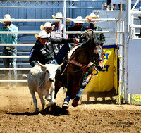 St Paul Rodeo Slack, Steer Wrestling Average Winner, Dalton Massey 7.1 on two 07/03/2024